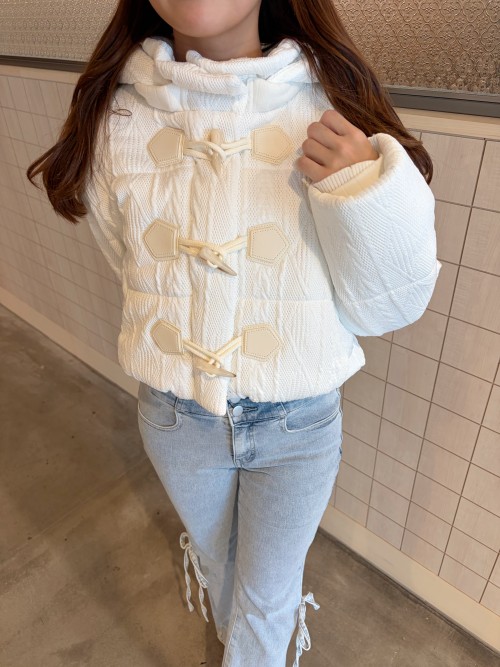 スライド画像