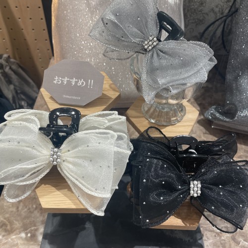 スライド画像