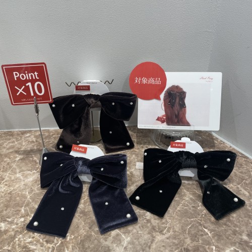 スライド画像