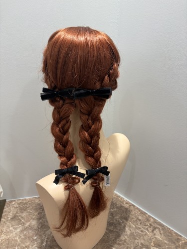 スライド画像