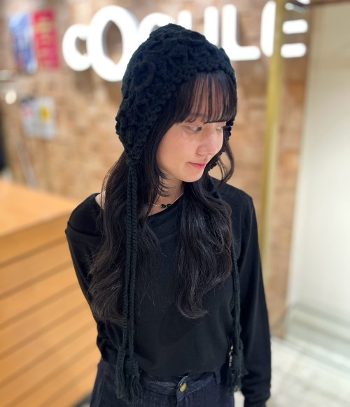 スライド画像