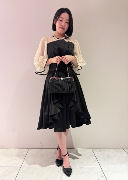 スライド画像