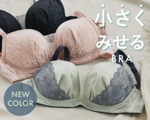 スライド画像