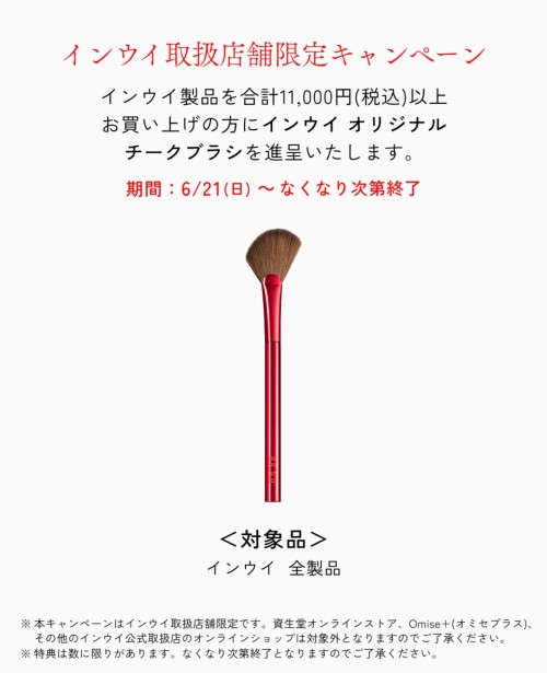 スライド画像